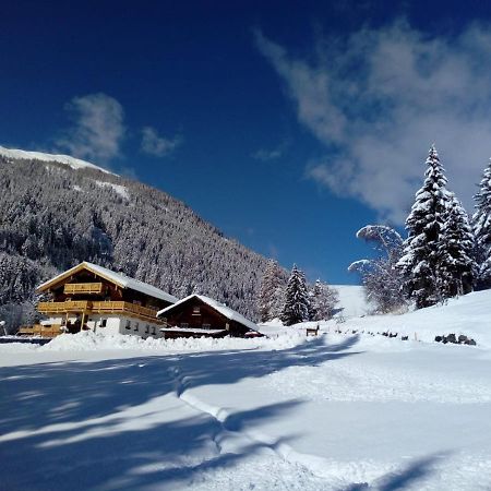 Bed & Breakfast Dolomiti Bey Haus Pinter Assling Экстерьер фото