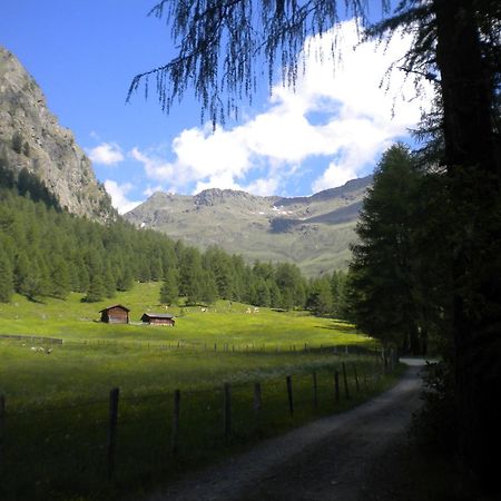 Bed & Breakfast Dolomiti Bey Haus Pinter Assling Экстерьер фото