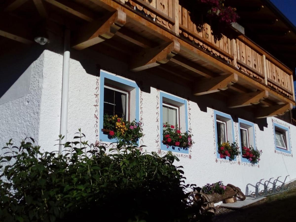 Bed & Breakfast Dolomiti Bey Haus Pinter Assling Экстерьер фото