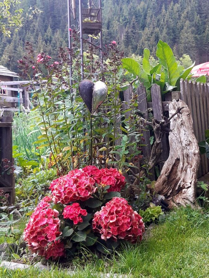 Bed & Breakfast Dolomiti Bey Haus Pinter Assling Экстерьер фото