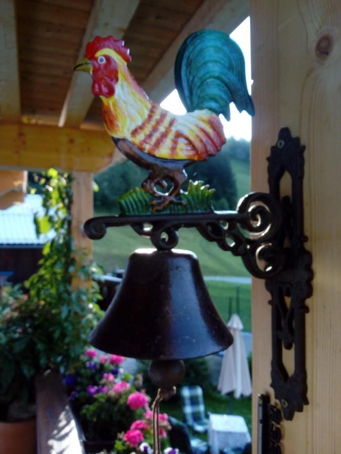 Bed & Breakfast Dolomiti Bey Haus Pinter Assling Экстерьер фото