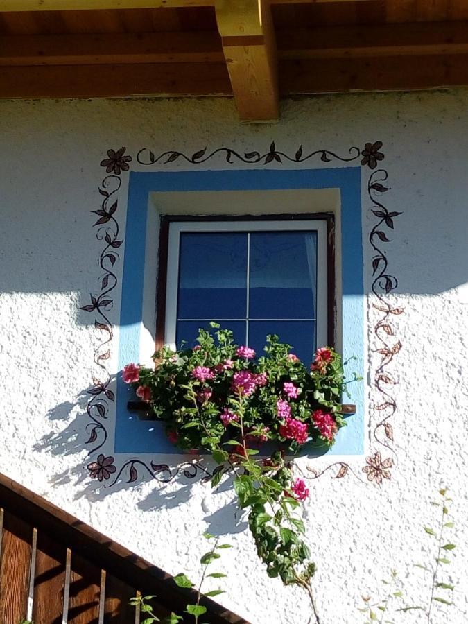 Bed & Breakfast Dolomiti Bey Haus Pinter Assling Экстерьер фото