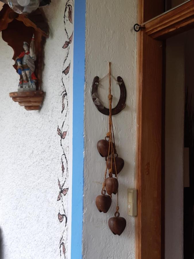 Bed & Breakfast Dolomiti Bey Haus Pinter Assling Экстерьер фото