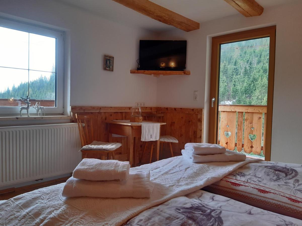 Bed & Breakfast Dolomiti Bey Haus Pinter Assling Экстерьер фото