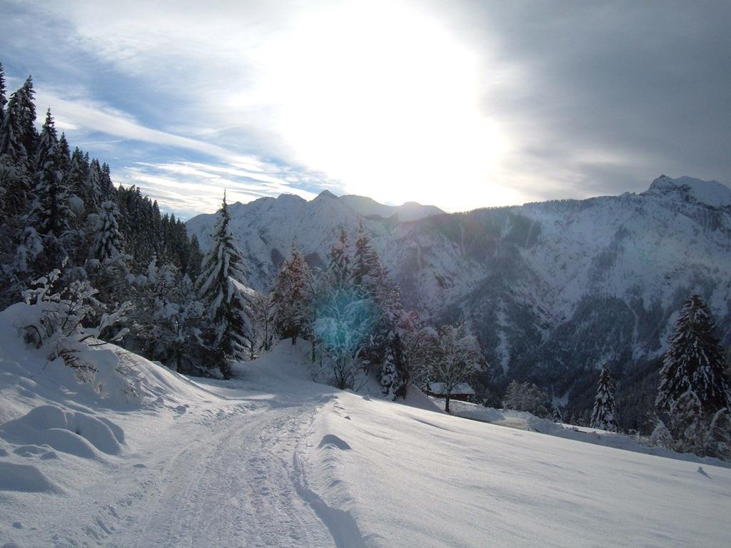 Bed & Breakfast Dolomiti Bey Haus Pinter Assling Экстерьер фото