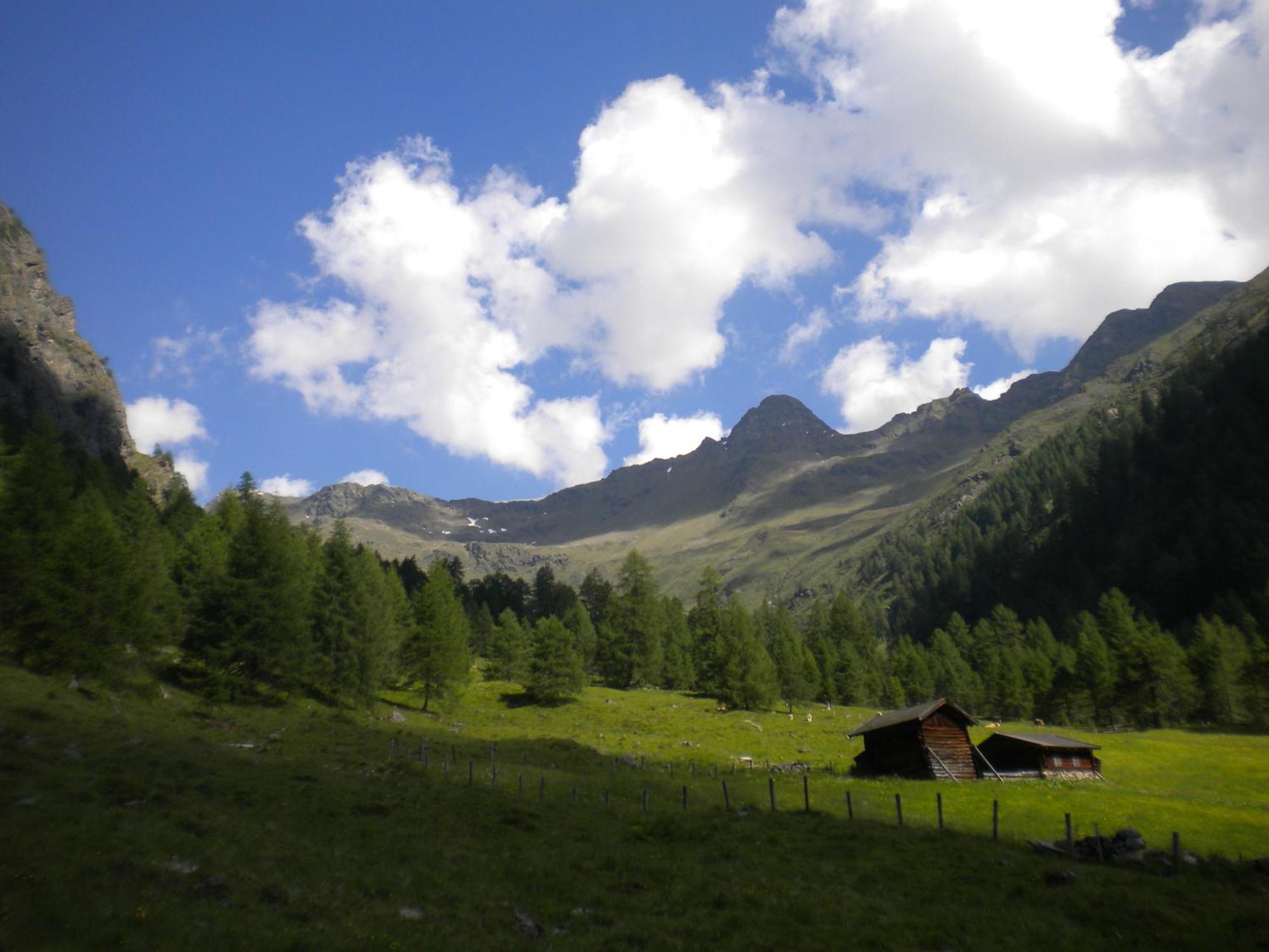 Bed & Breakfast Dolomiti Bey Haus Pinter Assling Экстерьер фото