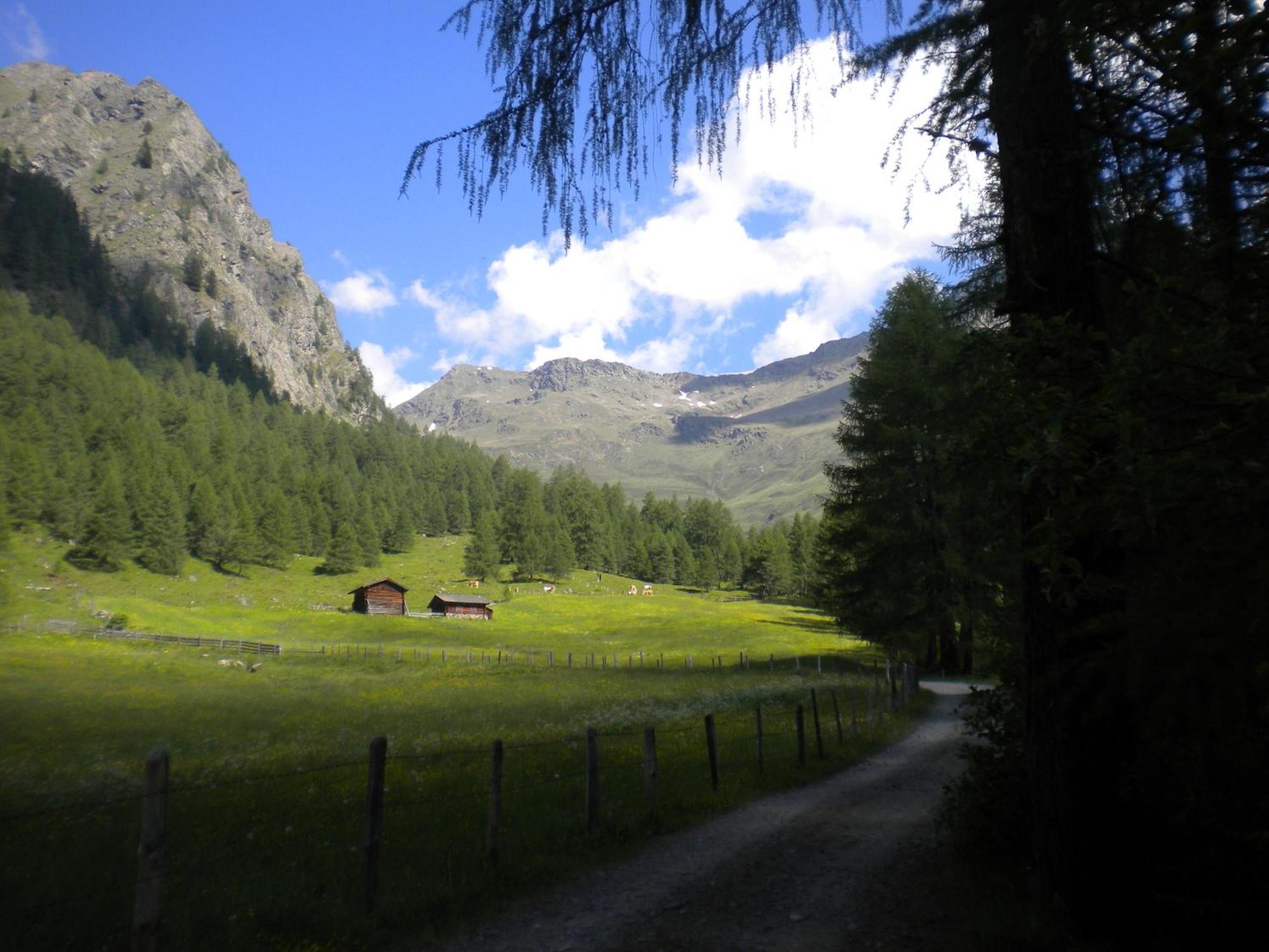 Bed & Breakfast Dolomiti Bey Haus Pinter Assling Экстерьер фото