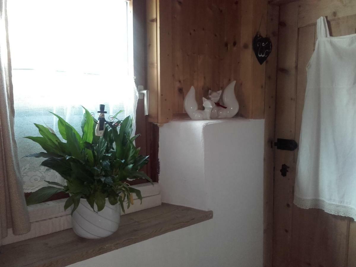 Bed & Breakfast Dolomiti Bey Haus Pinter Assling Экстерьер фото