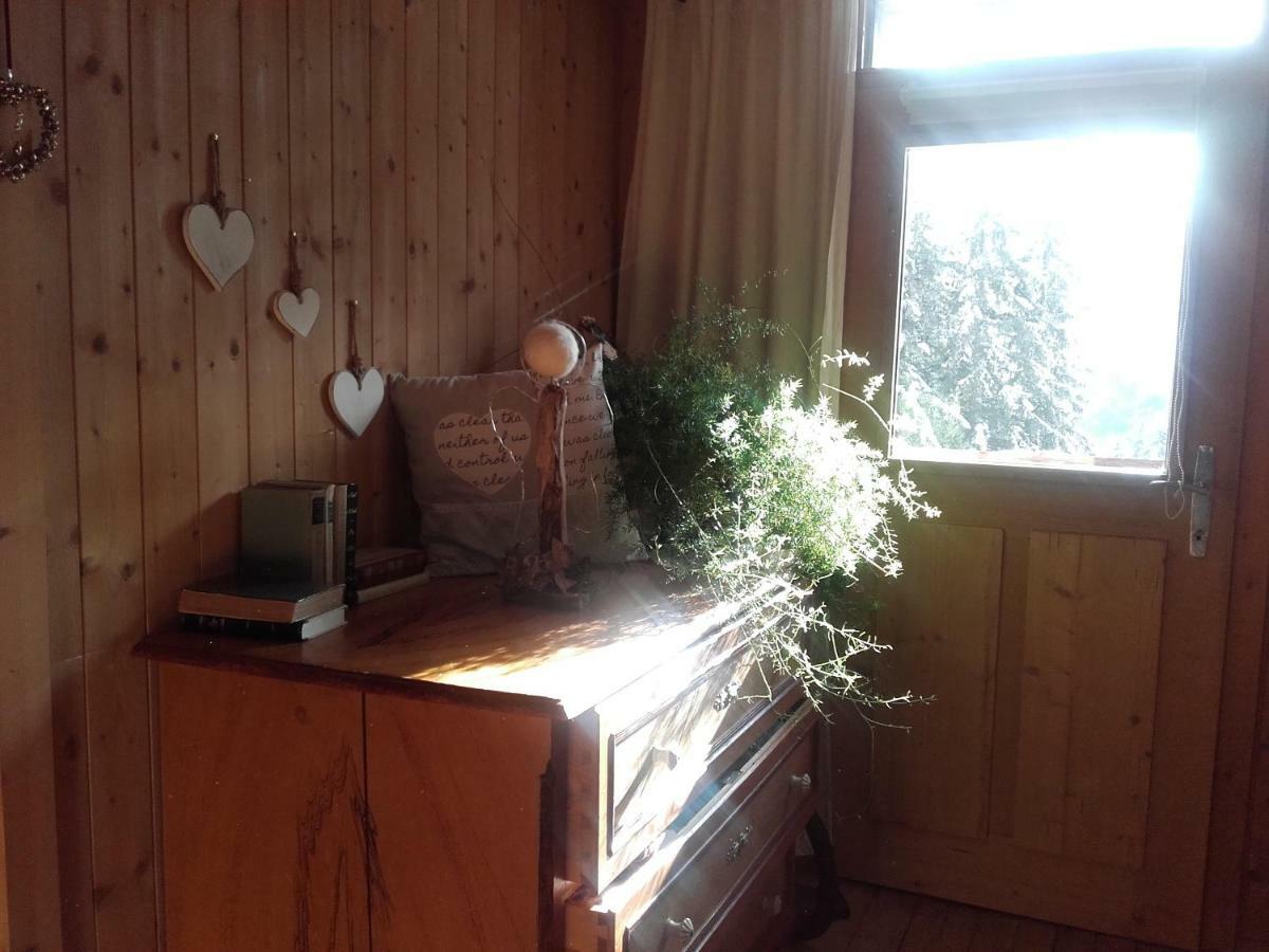 Bed & Breakfast Dolomiti Bey Haus Pinter Assling Экстерьер фото