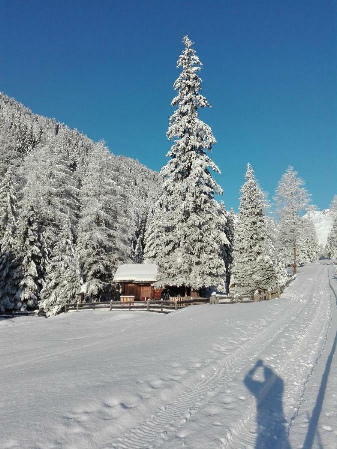 Bed & Breakfast Dolomiti Bey Haus Pinter Assling Экстерьер фото